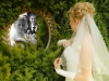 hochzeitgallery-25