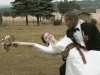hochzeitgallery-31_0