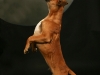 fotostudio-hanses-tiere-1